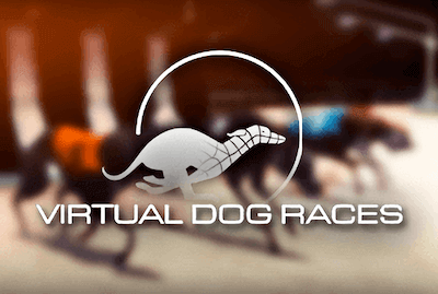 Virtual Dog Races