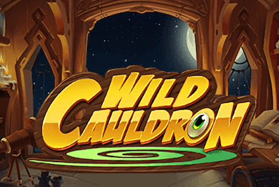 Wild Cauldron	